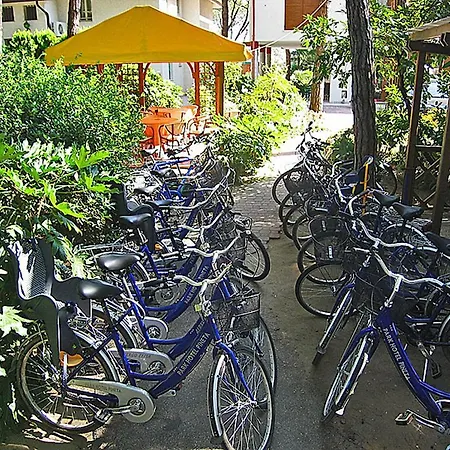 מלון Park Pineta & Dependance 3*