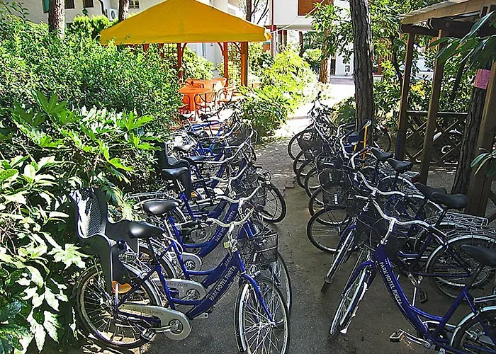 Hotel Park Pineta & Dependance 3*