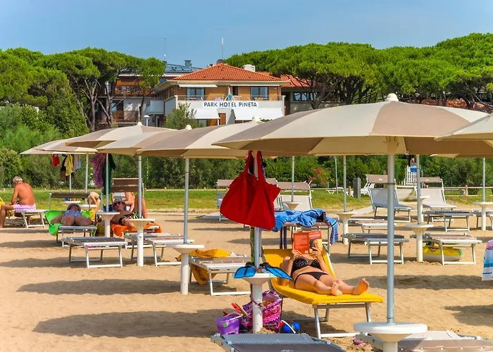 Hotel Park Pineta & Dependance