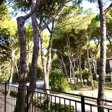 Park Pineta & Dependance Hotel